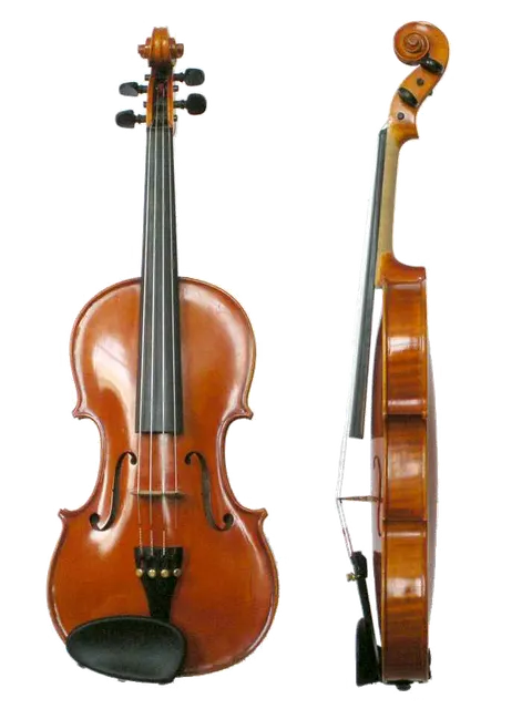 Violin